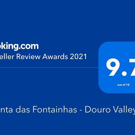 タブアソ Quinta Das Fontainhas - Douro Valleyヴィラ エクステリア 写真
