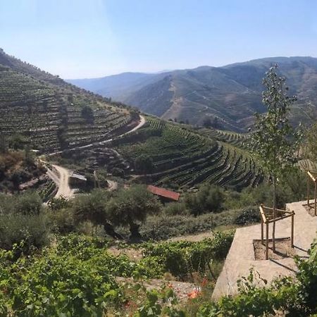 タブアソ Quinta Das Fontainhas - Douro Valleyヴィラ エクステリア 写真