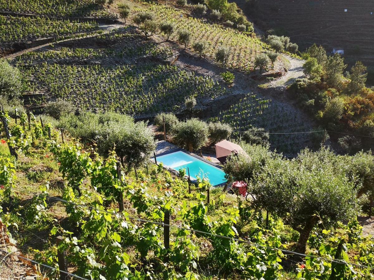 タブアソ Quinta Das Fontainhas - Douro Valleyヴィラ エクステリア 写真