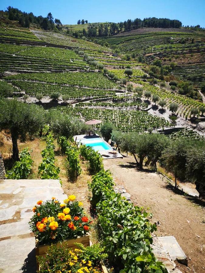 タブアソ Quinta Das Fontainhas - Douro Valleyヴィラ エクステリア 写真