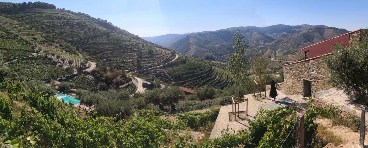 タブアソ Quinta Das Fontainhas - Douro Valleyヴィラ エクステリア 写真