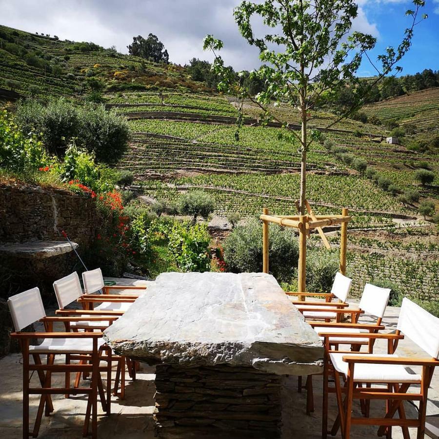 タブアソ Quinta Das Fontainhas - Douro Valleyヴィラ エクステリア 写真