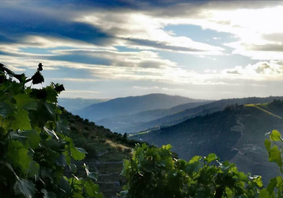 タブアソ Quinta Das Fontainhas - Douro Valleyヴィラ エクステリア 写真