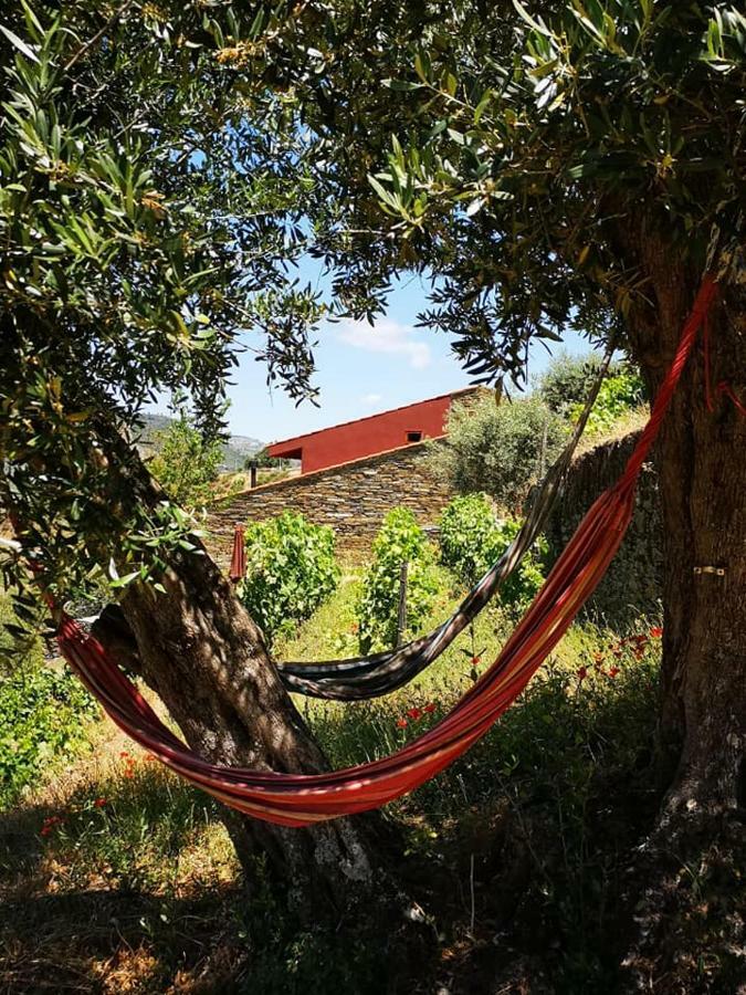 タブアソ Quinta Das Fontainhas - Douro Valleyヴィラ エクステリア 写真