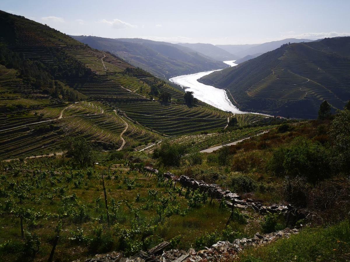 タブアソ Quinta Das Fontainhas - Douro Valleyヴィラ エクステリア 写真