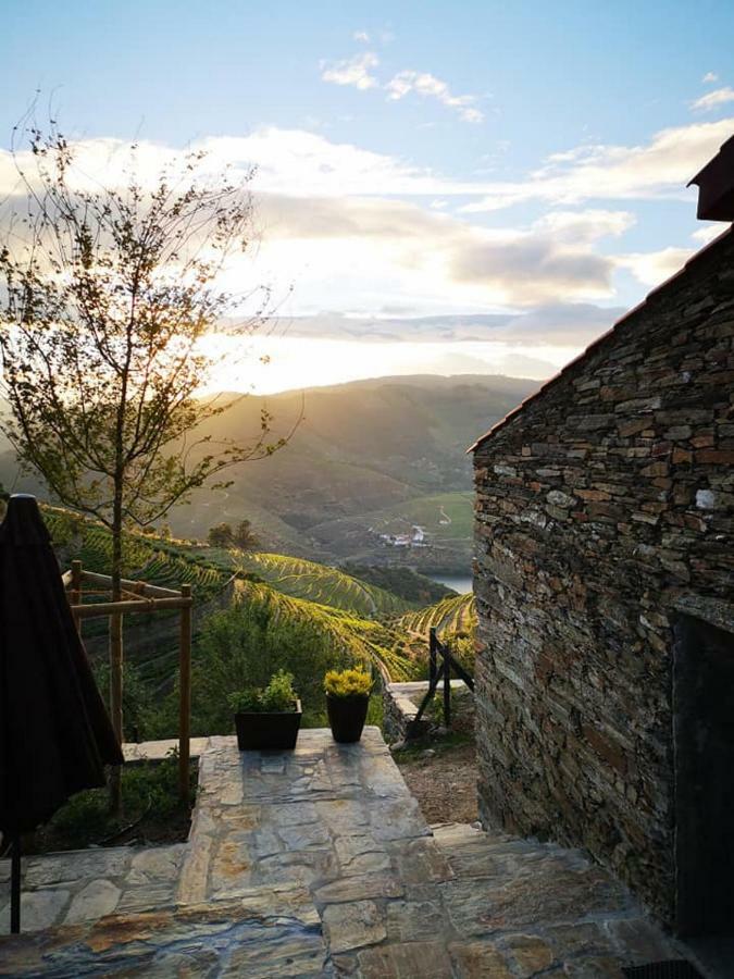 タブアソ Quinta Das Fontainhas - Douro Valleyヴィラ エクステリア 写真