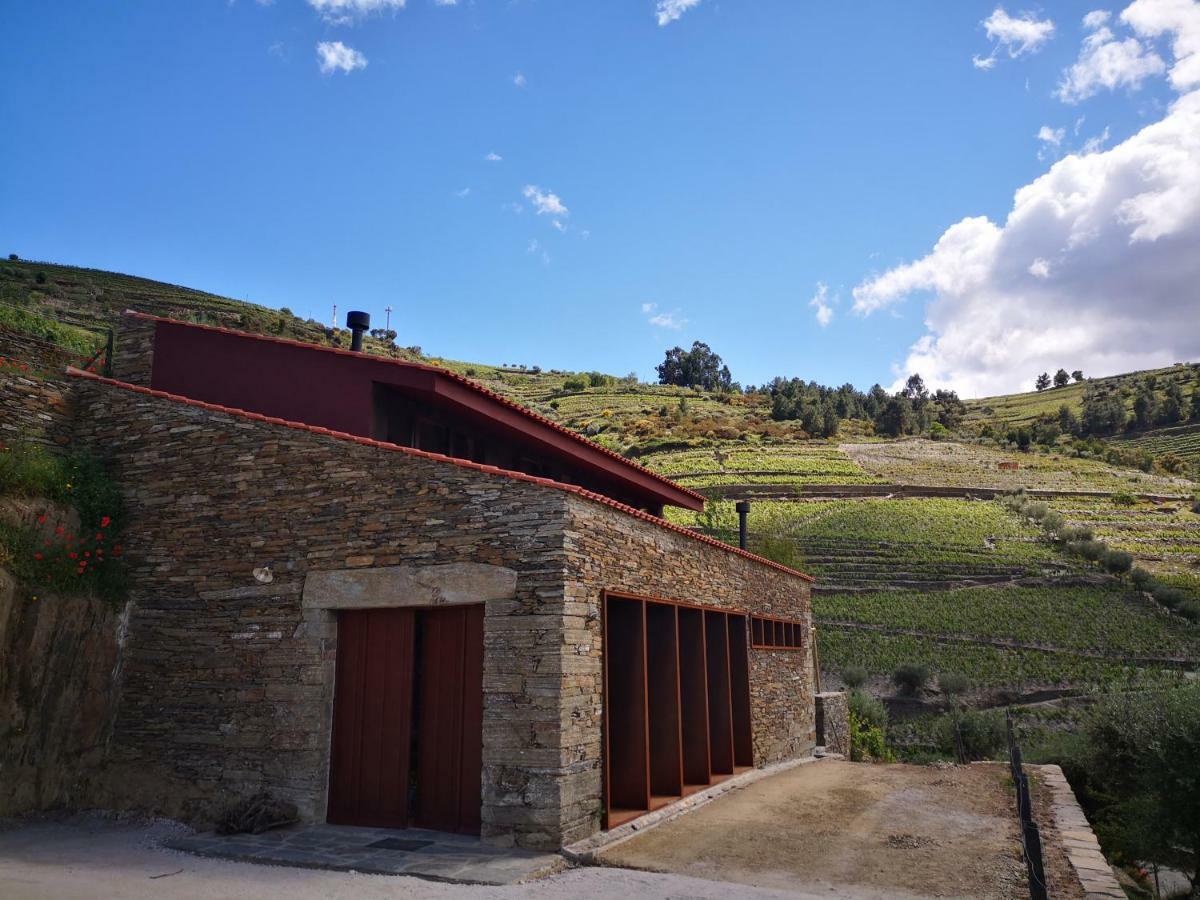 タブアソ Quinta Das Fontainhas - Douro Valleyヴィラ エクステリア 写真