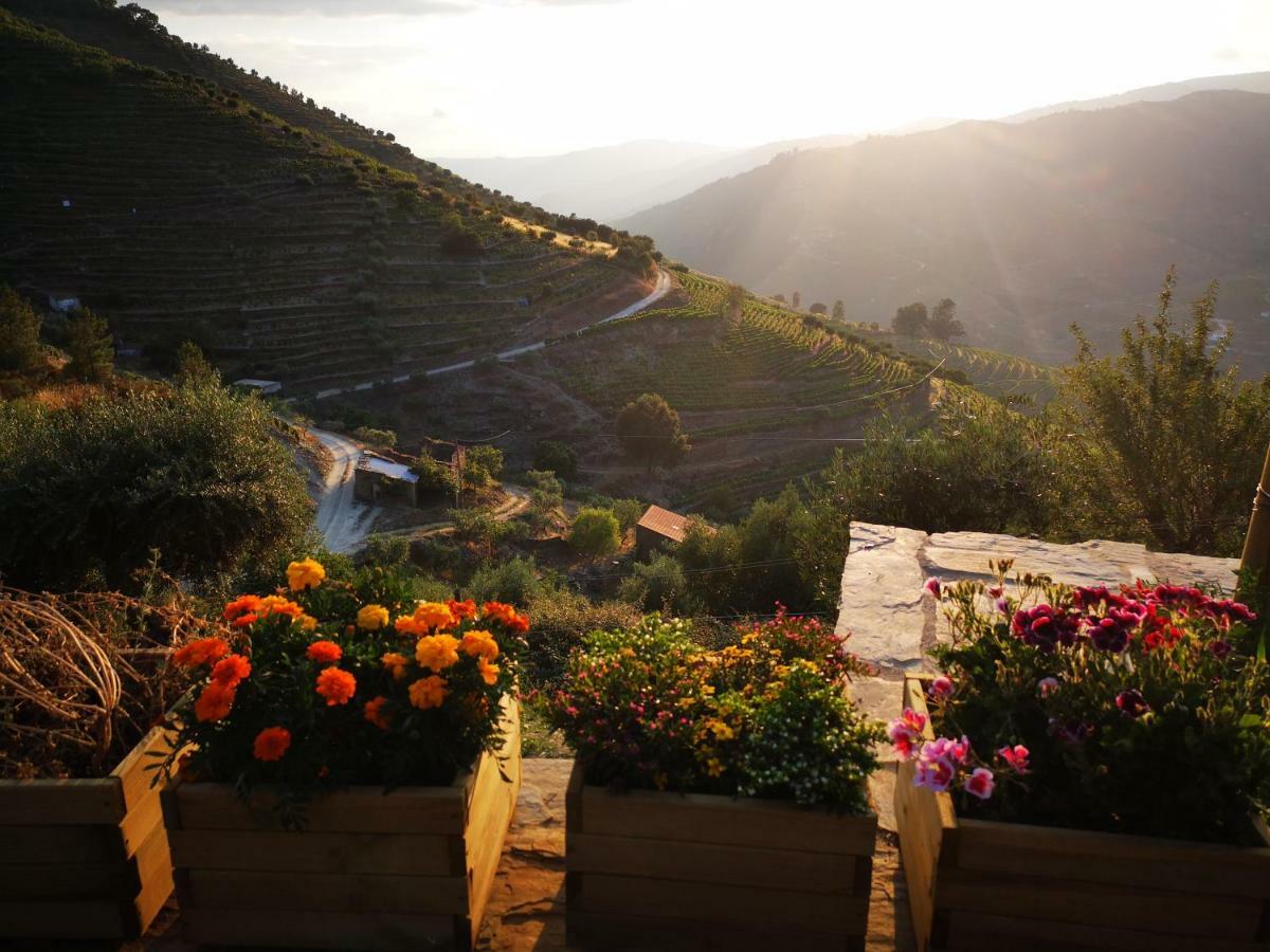 タブアソ Quinta Das Fontainhas - Douro Valleyヴィラ エクステリア 写真