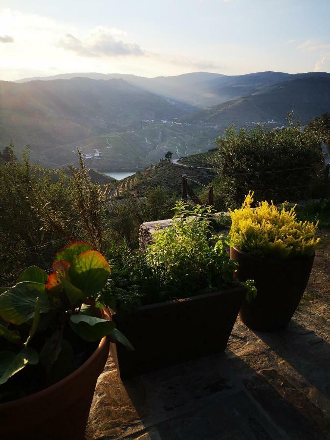 タブアソ Quinta Das Fontainhas - Douro Valleyヴィラ エクステリア 写真